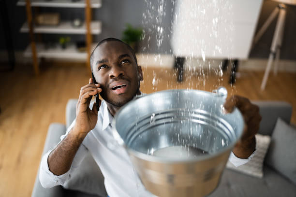 Best Local water damage restoration  in Willowbrook, CA