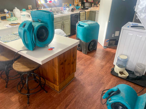 Best 24/7 water damage repair  in Willowbrook, CA