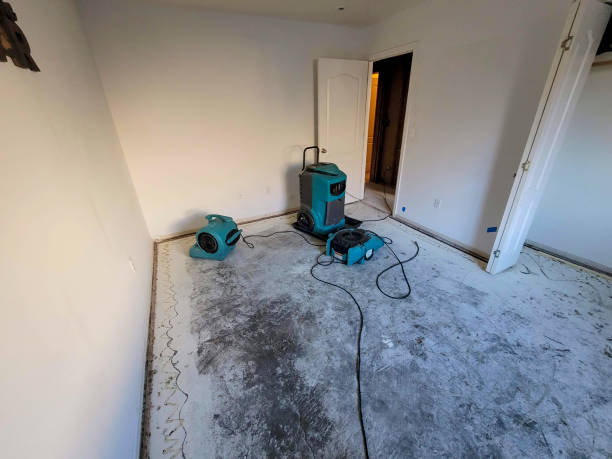 Best 24-hour water damage restoration  in Willowbrook, CA