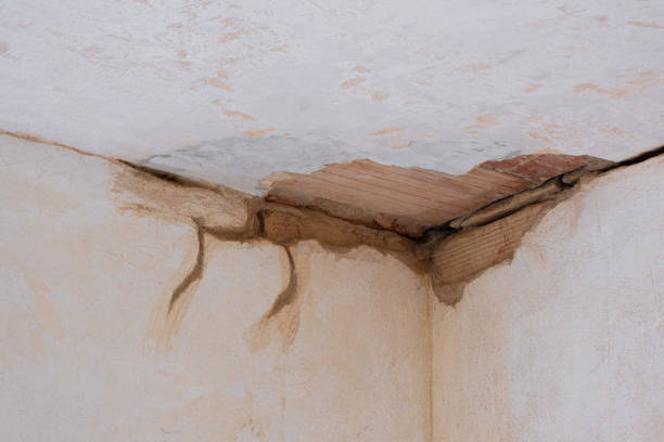 Best Water damage restoration near me  in Willowbrook, CA