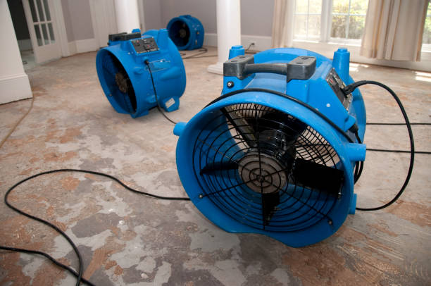Best Water damage restoration services  in Willowbrook, CA