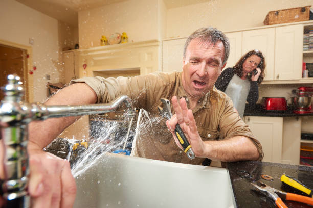 Best Flooded house restoration  in Willowbrook, CA